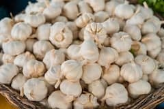 Garlic : রোজ সকালে খালি পেটে রসুন খাচ্ছেন? এই অভ্যাসের সমস্যাগুলি জেনে নেওয়া জরুরি