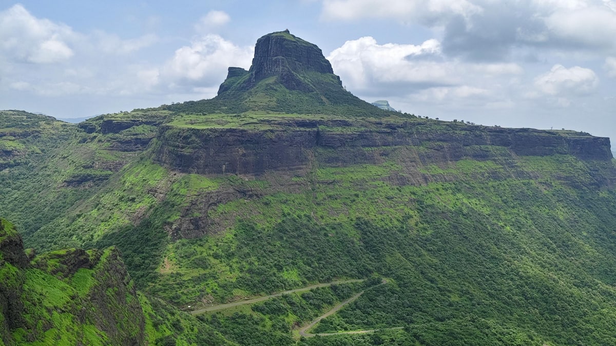 (Image Source: Canva)