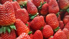 कौन सा शहर है भारत का स्ट्रॉबेरी हब? विदेशों तक होती है इसकी डिमांड