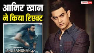 'अगर धुरंधर 15 हजार स्क्रीन पर रिलीज होती तो कमाई नेक्स्ट लेवल होती', आमिर खान बोले इंडिया को ज्यादा थिएटर्स की जरुरत