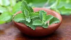 Herbal Drink: આ 4 સુપર ડ્રિંક તમારા શરીરમાંથી ઝેરી તત્વોને કાઢશે બહાર