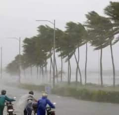 ਠੰਢ ਕਦੋਂ ਮੁੱਕੇਗੀ? ਮੌਸਮ ਵਿਭਾਗ ਨੇ ਦੱਸੀ ਤਰੀਕ, ਇਹ ਵਾਲੇ ਸੂਬਿਆਂ 'ਚ ਹੋ ਸਕਦੀ ਬਾਰਿਸ਼