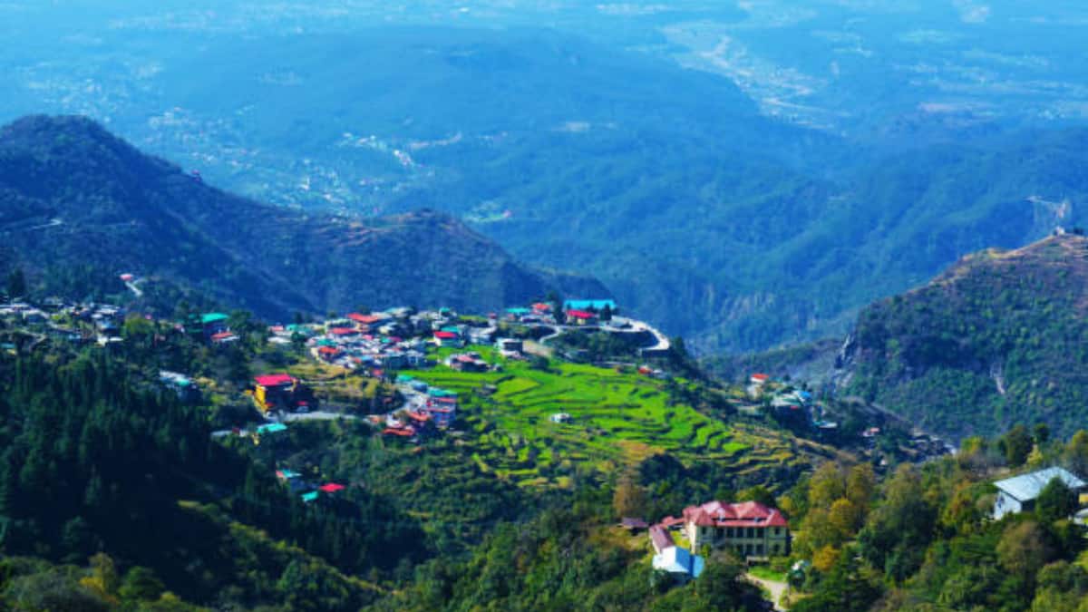 (Image Source: Canva)