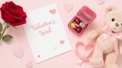 सस्पेन्स थ्रिलर, हॉरर अन् कोर्ट ड्रामा...; व्हॅलेंटाईन विकेंडला घरबसल्या जोडीदारासोबत पाहा 7 जबरदस्त OTT चित्रपट