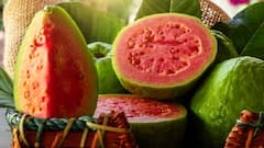 Guava Health Benefts: પેરુ ખાવાના 5 અદભૂત ફાયદા જાણીને તમે પણ ખાવા લાગશો