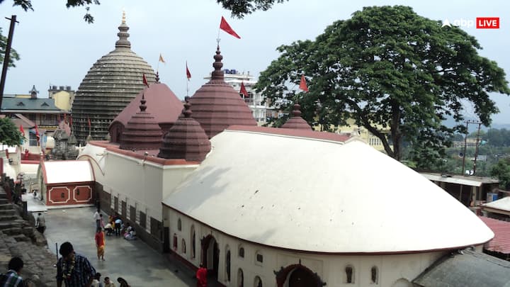 जिन भी लोगों का जन्म 6, 15 या 24 तारीख को हुआ है, उनका स्वामी शुक्र ग्रह होता है. असम में स्थित कामाख्या मंदिर एक प्राचीन शक्ति पीठ इस अंक के जातकों के इस मंदिर में दर्शन के लिए जरूर जाना चाहिए.