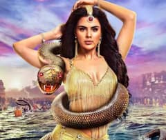 TV TRP Report: 'नागिन' ने 'तुलसी' से लेकर 'अनपुमा' तक का छिना ताज, बना नंबर 1 शो, जानें- टॉप 10 में की लिस्ट