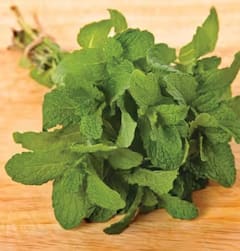 Health: પેટ ફુલવાની સમસ્યાથી છૂટકારો આપે છે ઘરેલુ પણ અસરકારક આ 4 ઉપાય