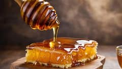 Maha Shivratri: મહાશિવરાત્રીની પૂજા માટે કઈ વસ્તુઓની જરૂર પડે છે? જ્યોતિષ મુજબ જાણો સંપૂર્ણ સામગ્રી