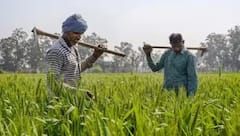 PM Kisan Yojana: ખેડૂતોના ખાતામાં ક્યારે આવશે PM કિસાન યોજનાનો 22મો હપ્તો, જાણી લો