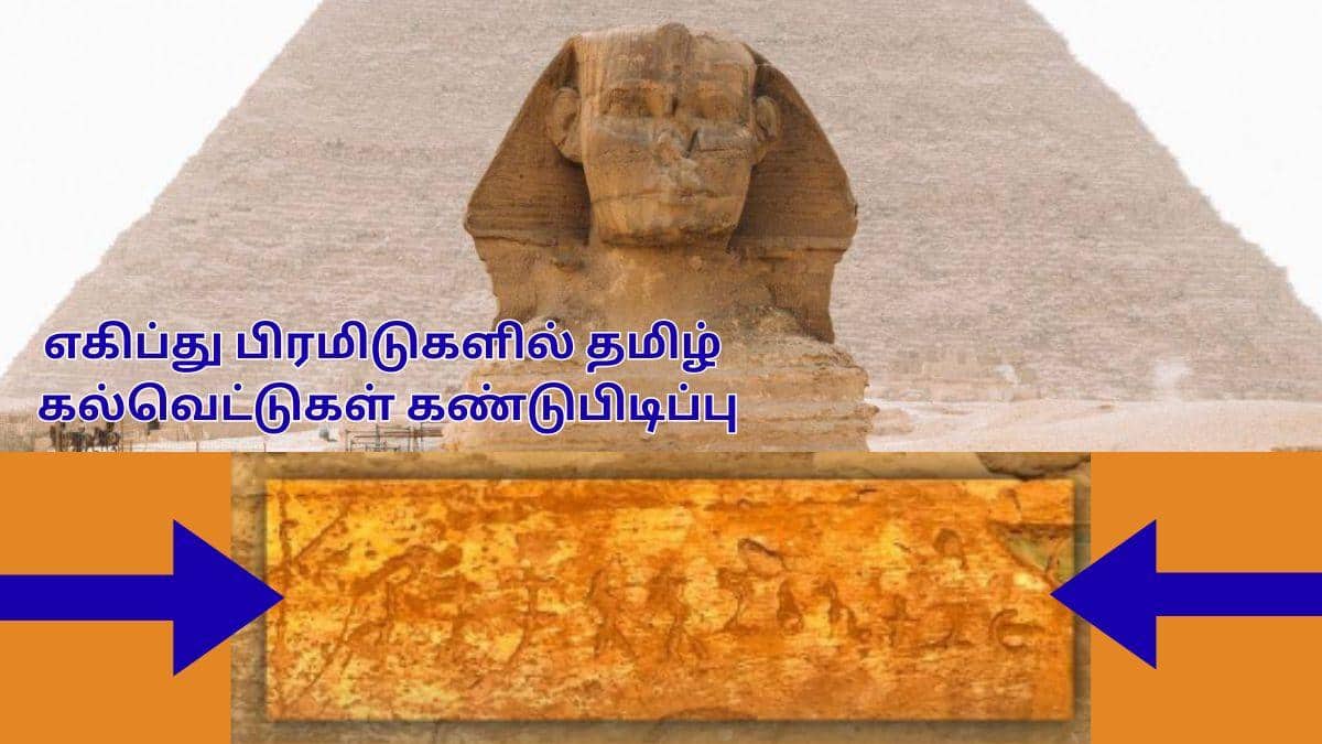 Tamil Inscriptions in Pyramid: அடி சக்க.! எகிப்து பிரமிடுகளில் தமிழ்; பிராமி எழுத்துக்களுடன் கல்வெட்டுகள்; இவ்வளவு பழமையானதா.!