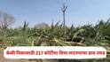 Banana Crop Insurance Scam: केळी पिकासाठी 217 कोटींचा विमा लाटण्याचा मोठा डाव उघड, उपग्रहाने केला भांडाफोड; जळगावात नेमकं काय घडलं?