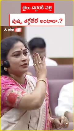 జైలు దగ్గరకి వెళ్లి.. పుష్ప తగ్గేదేలే అంటాడా.?
