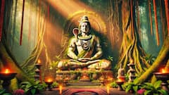 Mahashivratri 2026 : केदारनाथ ते काशी विश्वनाथ; भारतातील भगवान शंकराची 'ही' आहेत प्रसिद्ध 12 ज्योतिर्लिंग...