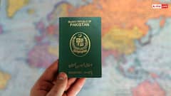 Pakistan Passport: कितने देशों में वीजा फ्री एंट्री कर सकते हैं पाकिस्तानी, भारत से कितना पीछे पड़ोसी मुल्क?