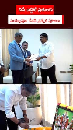 ఏపీ బడ్జెట్ ప్రతులకు పయ్యావుల కేశవ్ ప్రత్యేక పూజలు
