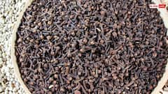 Island of Cloves : లవంగాలకు కేంద్రం జాంజిబార్.. అక్కడ కిలో 400 ఇండియాలో 1200, ఎందుకంటే