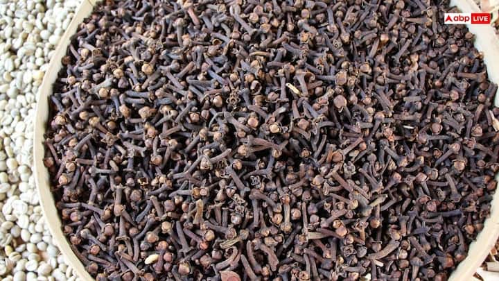 జాంజిబార్ హోల్​సేల్  మార్కెట్లో లవంగాల ధర దాదాపు కిలో 4.80 డాలర్లు. భారతీయ కరెన్సీలో ఇది దాదాపు కిలో 400 నుంచి 450 రూపాయలు ఉంటుంది.