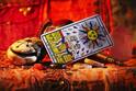 Weekly Tarot card horoscope: આગામી સપ્તાહ આ 4 રાશિ માટે નિવડશે વિશેષ, જાણો ટેરોટ કાર્ડ રાશિફળ