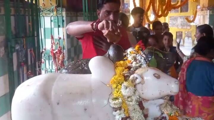 তারকেশ্বর মঠ ও মিশনের মঠাধিস মোহন্ত মহারাজ আজকে বিশেষ পুজো বিধি  সম্পন্ন করেন শিবরাত্রি উপলক্ষ্যে।