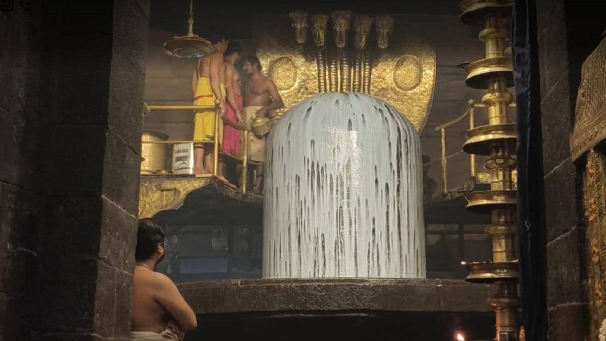 தஞ்சாவூர் பெரிய கோயிலில் பிரமாண்டமாக நடந்த மகா சிவராத்திரி விழா
