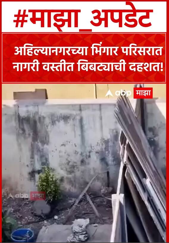 Ahilyanagar Bibtya : अहिल्यानगरच्या भिंगार परिसरात नागरी वस्तीत बिबट्याची दहशत!