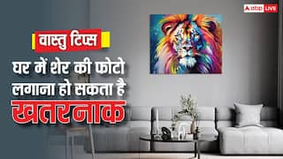 Vastu Tips: घर में क्यों नहीं लगानी चाहिए शेर की तस्वीर, जवाब जान लिया तो नहीं करेंगे ये गलती