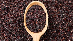 Jowar Ragi Health Benefits: કેલ્શિયમથી લઈને ફાઇબર સુધી, જુવાર અને રાગીના છે 5 અદભૂત ફાયદા