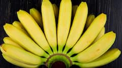 Banana Benefits: હાર્ટ, પાચનથી લઈને ઇમ્યુનિટી સુધી, રોજ એક કેળું ખાવાથી મળશે આ 5 સ્વાસ્થ્ય લાભ