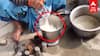 1L Milk in 1 Bucket Water | 1 லிட்டர் பாலில் 1 வாளி தண்ணீர்!மதிய உணவு திட்டத்தில் அவலம் வைரல் வீடியோ