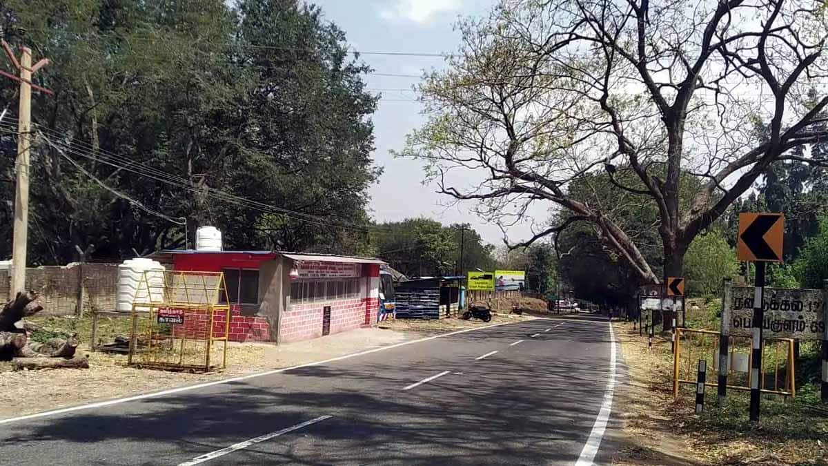 கம்பம், போடி எல்லைகளில் கஞ்சா விற்பனை: அதிர்ச்சி! 35 கிலோ கஞ்சா பறிமுதல், பெண் உட்பட 3 பேர் கைது!