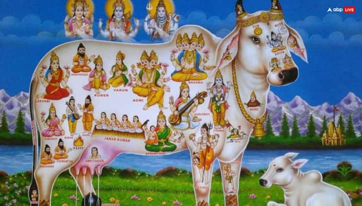 ఇంట్లో ఆవు (కామధేనువు), ఏడు గుర్రాలు, ఏనుగు, తాబేలు, హంస , నెమలి చిత్రాలను ఉంచడం చాలా శుభంగా పరిగణిస్తారు
