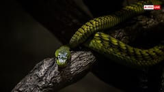 Most Dangerous Places: ये हैं दुनिया की सबसे खतरनाक जगहें, जानें नंबर वन पर कौन?