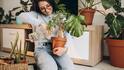 Lucky Plants for Rent Home: ભાડાના ઘરમાં પણ આ 5 છોડ લગાવવાથી વધે છે આવક