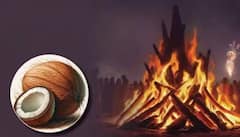 హోలికా దహన్ 2026 హోలికా దహన్ లో కొబ్బరి, ఆవాలు, లవంగాలు వేయడం వల్ల సంతానం యొక్క ఈ 5 పెద్ద సమస్యలు తొలగిపోతాయి