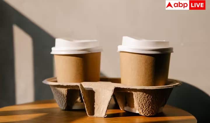 અમૃતા હોસ્પિટલના ઈન્ટરનલ મેડિસિન અને એન્ડોક્રિનોલોજી નિષ્ણાત ડૉ. મોહિત શર્માના મતે, 60 ડિગ્રી સેલ્સિયસથી વધુ તાપમાને ફેથેલેટ્સ, બિસ્ફેનોલ A અને સ્ટાયરીન જેવા હાનિકારક પદાર્થો ચામાં ભળી થઈ શકે છે. આ પદાર્થો શરીરની હોર્મોનલ સિસ્ટમને અસર કરે છે અને લાંબા ગાળે ગંભીર બીમારીઓનું જોખમ વધારી શકે છે.