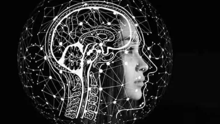 કંપનીના જણાવ્યા મુજબ, આજના આધુનિક મોબાઇલ ફોન અને લેપટોપ એટલા શક્તિશાળી છે કે તેઓ અદ્યતન AI મોડેલોને પોતાની જાતે પ્રોસેસ કરી શકે છે. જ્યારે AI પ્રોસેસિંગ ડિવાઇસ પર જ થાય છે ત્યારે નેટવર્ક વિલંબ દૂર થાય છે અને નબળા ઇન્ટરનેટને પણ અસર થતી નથી. સૌથી અગત્યનું, વપરાશકર્તા ડેટા કોઈપણ બાહ્ય સર્વર પર ટ્રાન્સમિટ થતો નથી, જેથી પ્રાઈવેસીને વધુ મજબૂતી મળે છે.