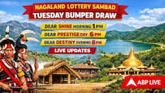 LIVE UPDATES | Nagaland Lottery Sambad Today (17.02.2026): Dear DESTINY EVENING TUESDAY 8PM Draw DECLARED (1 CRORE) - 1st Prize Ticket No. 58L 79818