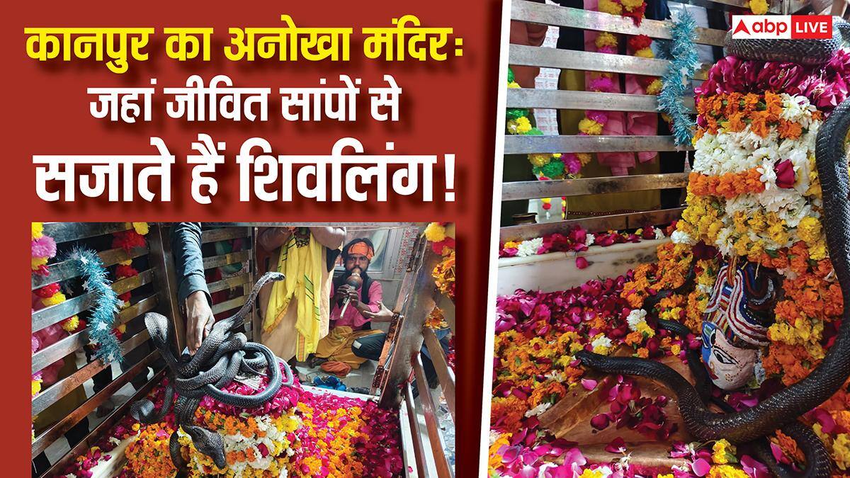 200 साल पुराना कानपुर का मंदिर, जहां जिंदा सांपों से होता है शिवलिंग का श्रृगांर और बदलता है रंग!