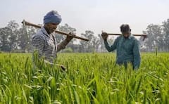 PM Kisan 22nd Installment: શું ફેબ્રુઆરી મહિનામાં ખેડૂતોના ખાતામાં આવી જશે 22મો હપ્તો, જાણો અપડેટ