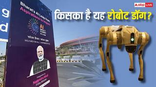'डेवलपमेंट' की जगह 'डेवलप' बोलना पड़ा भारी, AI समिट में गलगोटिया यूनिवर्सिटी के चीनी रोबोट का क्या है पूरा विवाद? समझें