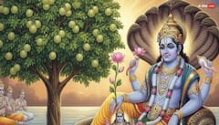 Amalaki Ekadashi 2026: आमलकी एकादशी 27 फरवरी को है, इस दिन आंवले की पूजा करने से क्या होता है जानें