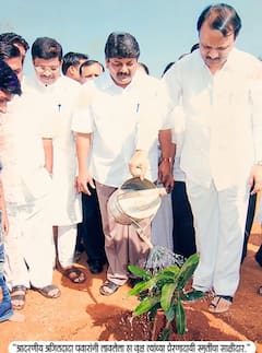 Sunetra Pawar: अजित दादांनी लावलेल्या वृक्षाच्या सावलीत सुनेत्रा पवार, 16 वर्षांपूर्वीच्या झाडासोबत भावुक क्षण