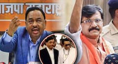 नारायण राणेंच 'ते' विधान, संजय राऊतांचा न्यायालयात मानहानीचा दावा, सुनावणीत नेमकं काय घडलं?