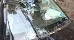 Delivery Rider Killed By Speeding Car In Delhi's Subhash Nagar