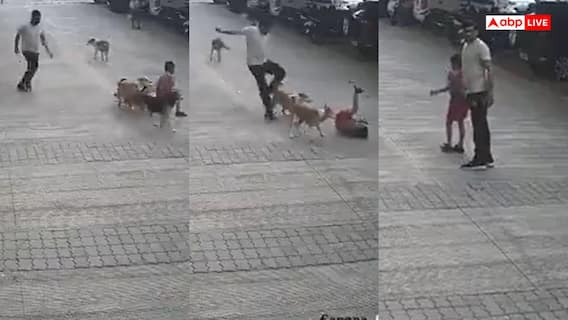 Video: पुणे में स्कूली बच्चे पर एक साथ झपटे 5 आवारा कुत्ते, नीचे गिराकर किया हमला, सामने आया वीडियो Video: पुणे में स्कूली बच्चे पर एक साथ झपटे 5 आवारा कुत्ते, नीचे गिराकर किया हमला, सामने आया वीडियो
