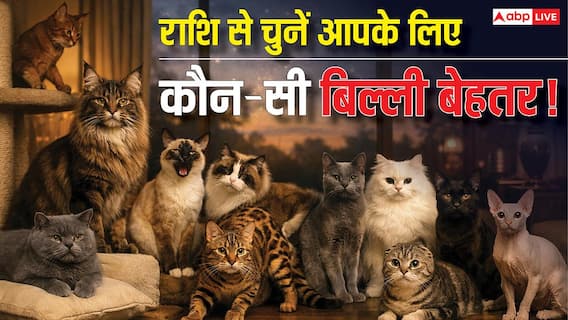 आपकी पर्सनैलिटी के हिसाब से कौन-सी बिल्ली होगी आपके लिए सही मैच? जानिए ज्योतिष से इसका जवाब आपकी पर्सनैलिटी के हिसाब से कौन-सी बिल्ली होगी आपके लिए सही मैच? जानिए ज्योतिष से इसका जवाब