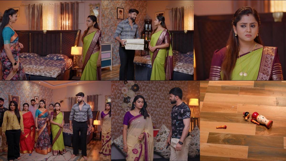 Chinni Serial Today February 21st: చిన్ని సీరియల్: చిన్నిని అసహ్యించుకున్నా మ్యాడీ! బొమ్మ విసిరి కొట్టేశాడుగా!