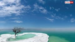 क्या होता है Dead Sea, आखिर क्यों नहीं पनप सकता वहां कोई जीवन?