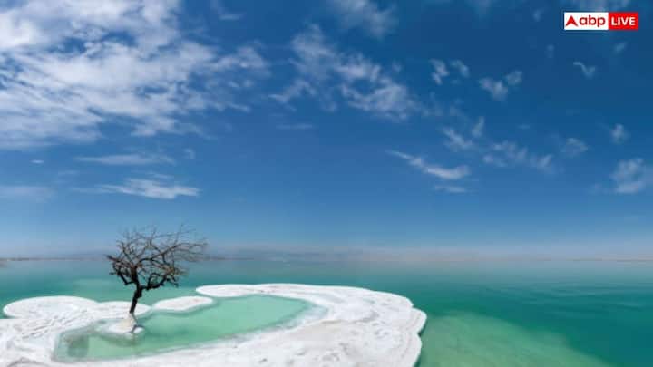 डेड सी में जीवन ना पनपने की सबसे बड़ी वजह इसका काफी ज्यादा नमक का जमाव है. पानी में हर लीटर में लगभग 340 ग्राम नमक होता है. यह आम समुद्री पानी से लगभग 9 से 10 गुना ज्यादा खारा है. इस वजह से यहां जीवित जीवों के लिए काफी ज्यादा कठोर माहौल है.